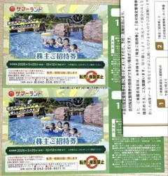東京サマーランド 1Dayご招待券 2枚　株主優待券のサムネイル
