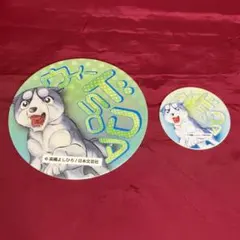 Item thumbnail for item 74ebc56a-6ece-44b4-8319-431a028b72aa