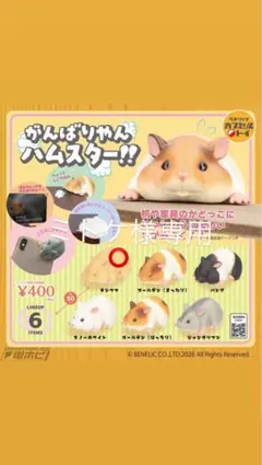 がんばりやんハムスター カプセルトイ ミトケ様専用