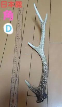 鹿の角 日本鹿 直線曲線約39～41.5cm 太さ最大約5cm 美品 1点