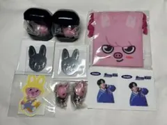 straykids スキズ　チャンビン　トゥエッキ　グッズ