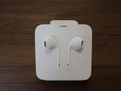 【新品未使用】 Apple純正ライトニングイヤホン