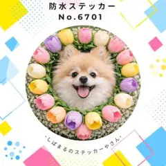 Item thumbnail for item b923f038-af4b-4f4d-9d71-1448dda7a603