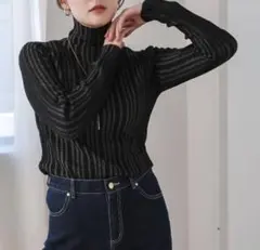 Bou jeloud プレーティングタートルネックプルオーバー