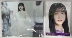 Item thumbnail for item 51fa2b1f-b84b-4433-8483-a19f0ca01c9d