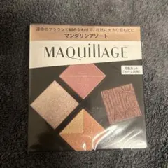 マキアージュ　カスタマイズアイカラー　アソート04マンダリンアソート