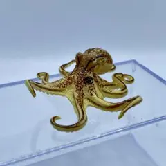 チョコQ 日本の動物 第7弾 イイダコ【海洋堂】ブック有