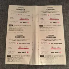 日本航空 JAL 株主優待　共通優待券