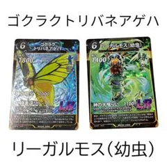2026年最新】トリバネアゲハの人気アイテム - メルカリ
