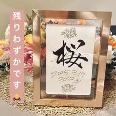 1番人気♡ メタリックフレーム付き命名書☆ 命名式　手書き　ニューボーンフォト