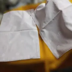 Item thumbnail for item 4a20dc05-c833-47f1-a3ec-af1e916ea965