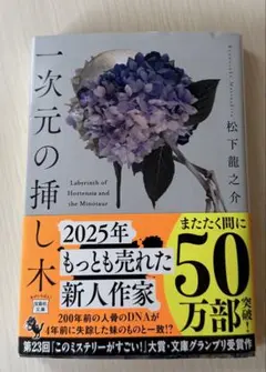 一次元の挿し木　松下龍之介