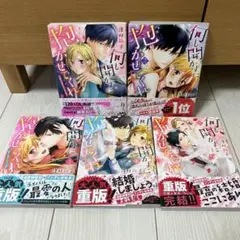 何も聞かずに抱かせてくれ 強がり処女とワケあり狼 全巻（全5巻完結）
