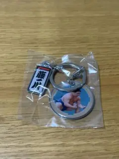 大相撲ガチャ 藤ノ川 Wチャームメタルキーホルダー