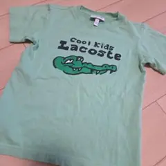 Lacoste Cool Kids Tシャツ ライトグリーン