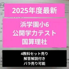 2026年最新】浜学園 公開テスト 小6の人気アイテム - メルカリ