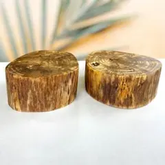 【キンモクセイ】輪切りインテリア2枚セット