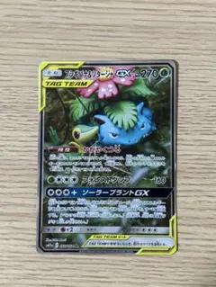 フシギバナ＆ツタージャ GX TAG TEAM SR 066/064 SA