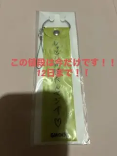 BUDDiiS SHOOT ペンライトストラップ
