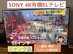 2026年最新】SONY その他：ジャンク 有機ELテレビの人気アイテム