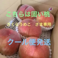 山梨の木のてっぺん桃 超特大を5個詰めて発送 人気商品 ももやのきよし