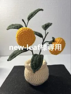 new-leaf様専用ページ　みかんの鉢植え　毛糸かぎ針編み、