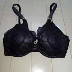 新品　ヴァリゼール　ブラジャーE65 トリンプ　VALISERE