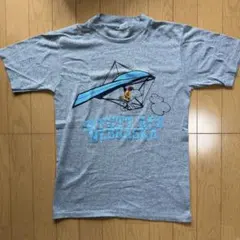 70〜80s ARTEX スヌーピーバーガンディラグランTシャツ USA製 - メルカリ