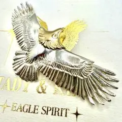 2026年最新】tady&king イーグル 廃盤の人気アイテム - メルカリ