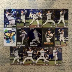 プロ野球チップスカード 中日ドラゴンズ 14枚セット