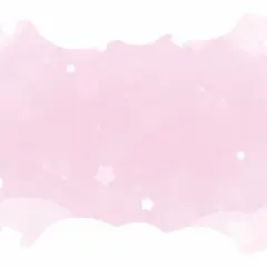 じゃみに様専用出品