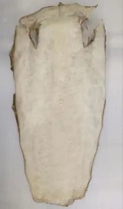 Item thumbnail for item eeef1868-a834-42e7-a191-b9c8e7019417