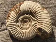 榛乃 T様 リクエスト 2点 まとめ商品