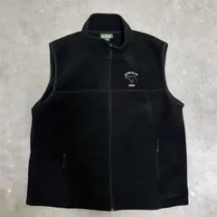 希少 00s L.L.Bean エルエルビーン フリースベスト Lサイズ 古着