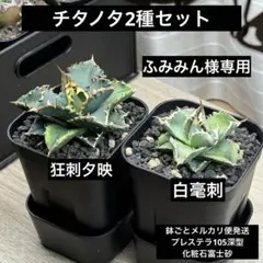 ふみみん様 リクエスト 2点 まとめ商品