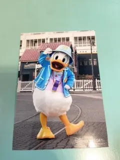 ドナルド ディズニー スペシャルフォト スペフォ 2022 秋 最新 写真 シー