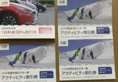日本駐車場開発 株主優待券 紙チケットのみ