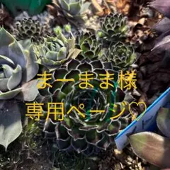 まーまま様 専用ページ♡
