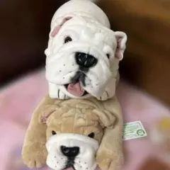 2025年最新】リールくん アールちゃんの人気アイテム - メルカリ