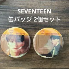 SEVENTEEN MINGYU & SEUNGKWAN 缶バッジセット