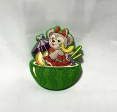 香港ディズニーランド限定のマグネット