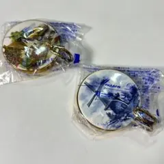 Item thumbnail for item 2cdcba67-3abe-4011-89dc-e0ec39955242