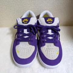 Nike SB Force 58 パープル/ホワイト/イエロー　箱無し