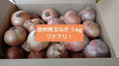 泉州黄玉ねぎ 5kg ワケアリのサムネイル