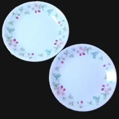 Item thumbnail for item 2d45f9fe-ec94-4f63-a738-636589599332