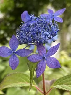 ぶーちゃん様 リクエスト 3点 まとめ商品