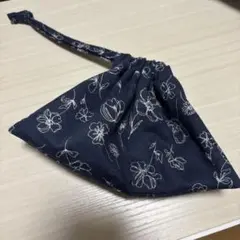 Item thumbnail for item 377ae16e-2448-492a-ae01-7c47a2b8b606