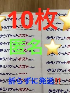 ゆうパケットポストmini 専用封筒 10枚セットその141