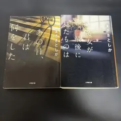あの日、君は何をした/彼女が最後に見たものは セット