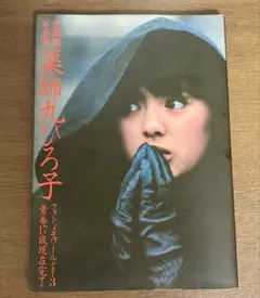 愛蔵版写真集 薬師丸ひろ子 フォトメモワール Part2 - メルカリ